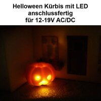 Halloween Kürbis LED Beleuchtung H0 TT N beleuchtet Modellbahn Modelleisenbahn