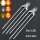 Duo LED 3mm bicolor LEDs 3-Pin digital Lichtwechsel Licht Loks Triebwagen H0 TT