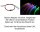 Lichtfaser Lichtleiter Lichtleitfaser 0,5mm LWL ideale Beleuchtung 4 Meter S022